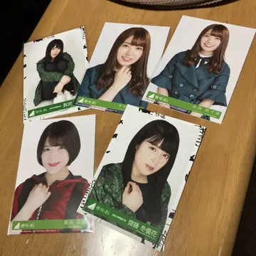 사카미치 시리즈 아이돌 브로마이드 5장 세트