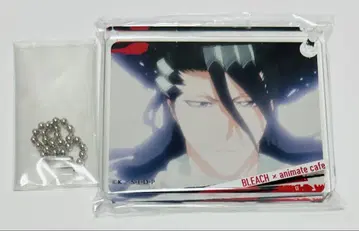 BLEACH 가츠라 코타로