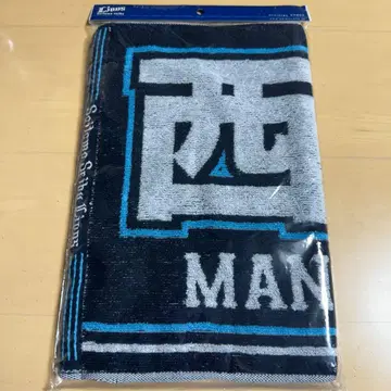 사이타마 세이부 라이온스 경기장 한정판 자카드 타월 니시카와 아이야