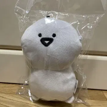 문구와 함께