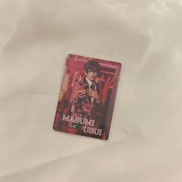 에이스 시네마 혜택 우스이 마스미 타카하시 레야