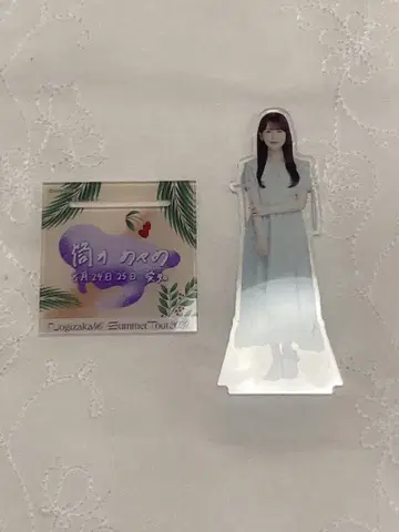 츠츠이 아야메 아크릴 스탠드