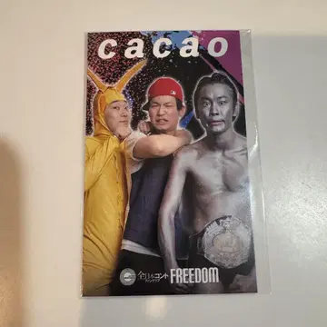 전일본 콘테 팬클럽 FREEDOM 연동 복권 cacao