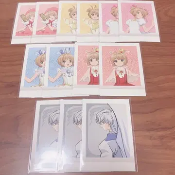 카드캡터 사쿠라 CC 사쿠라 파샤코레 사쿠라즈키 유에