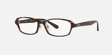 RayBan 레이밴 RB5385D