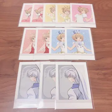 카드캡터 사쿠라 CC 사쿠라 파샤코레 사쿠라즈키 유에
