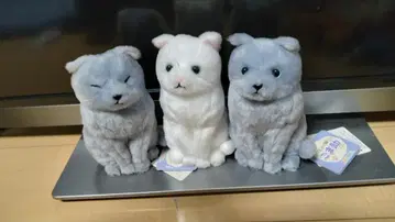 새상품 호코리 고양이 참깨 스쿠 3종
