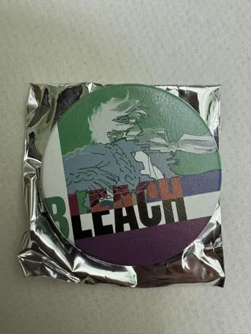 BLEACH 전 캔디스 페이크 가죽 거울