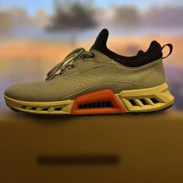 ECCO BIOM C4 26.0cm