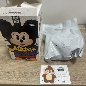 DISNEY 미키 패밀리 큐트 투게더 시리즈 칩