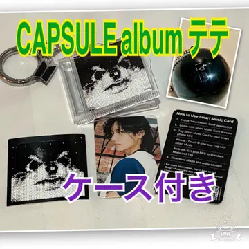BTS FESTA 2025 CAPSULE album 태태 V 태현