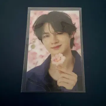 S Cawaii! ME 응원 HIGH aoen Haku 하쿠