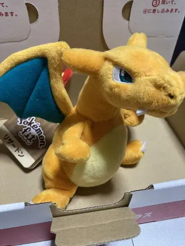 봉제 인형 Pokemon fit 리자몽