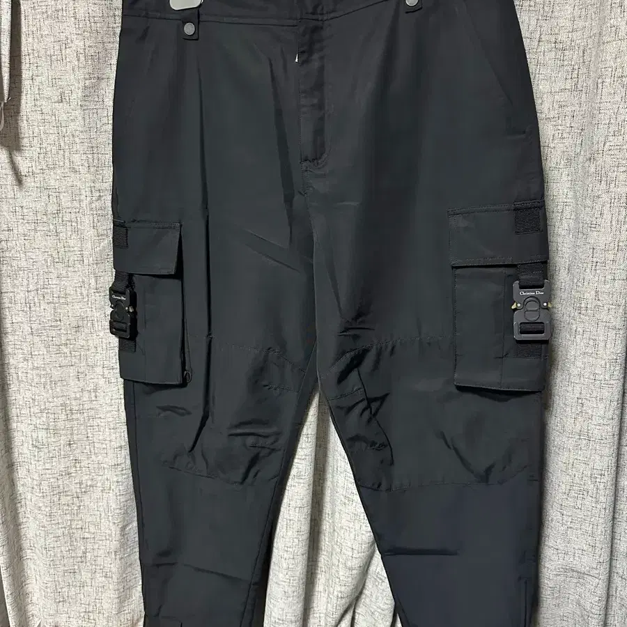 52] Dior 1017 Alyx 9sm Cargo Pants on Bunjang Global