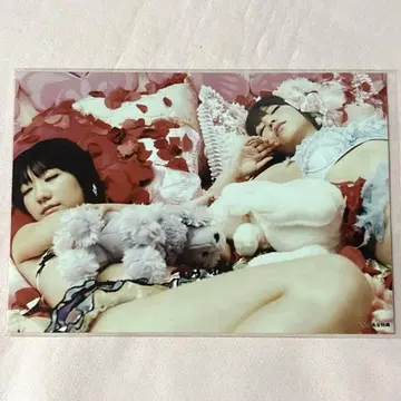 AKB48 헤비 로테이션 브로마이드
