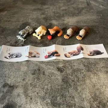 수령해 주시기 바랍니다.