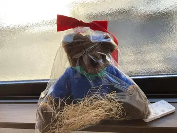 LL BEAN 곰 인형