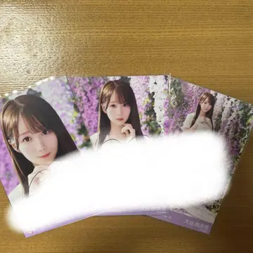이코러브 오타니 에미리 자필 절아이 컴프