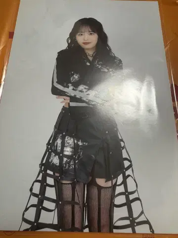 안주루무 고토 하나 타워 레코드 패널