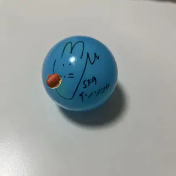 SF9 인성 사인 공