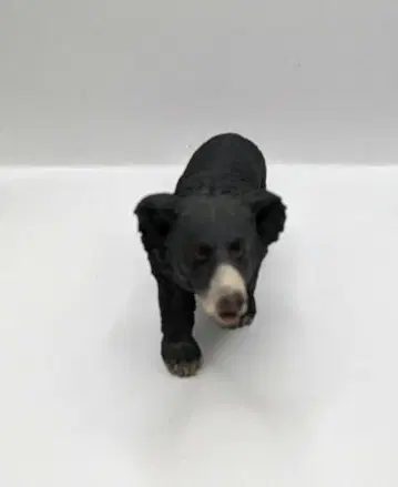 Schleich 슐라이히 나무늘보 곰