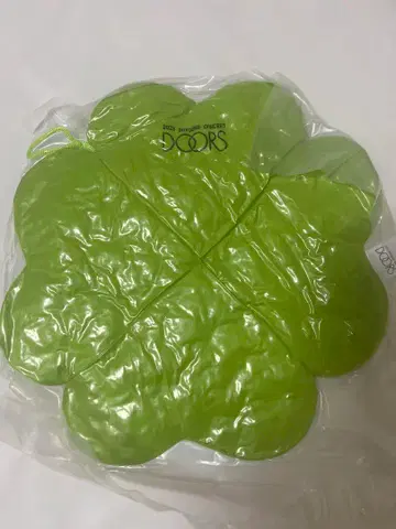 NCT127 도영 솔로 콘서트 Doors 쿠션