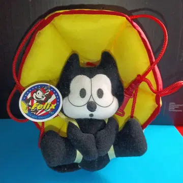 FELICS 파라슈트