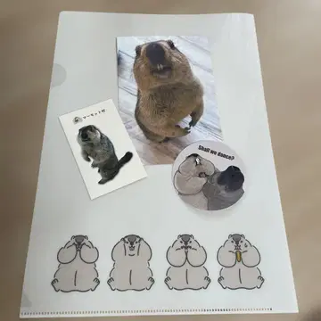마모트 마을 기념품 세트