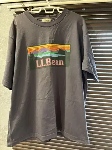 LLBean 풍경 프린트 티셔츠 그레이