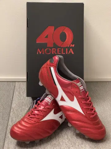 40주년 한정판 컬러 미즈노 모레리아 2 JAPAN 26cm