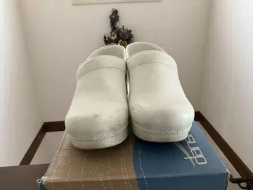 단스코
