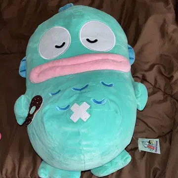 한교동 봉제 인형