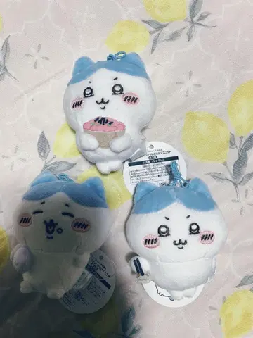 치이카와 (먼작귀) 하치와레 마스코트 3개 세트