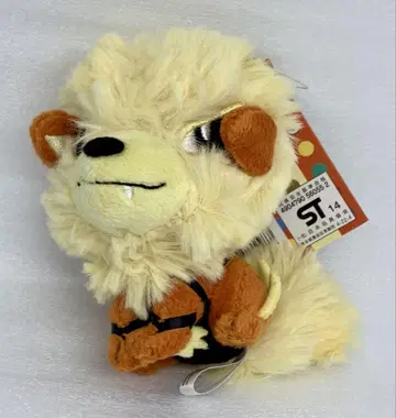 포켓몬 센터 Pokemon Petit 윈디 봉제 인형 마스코트