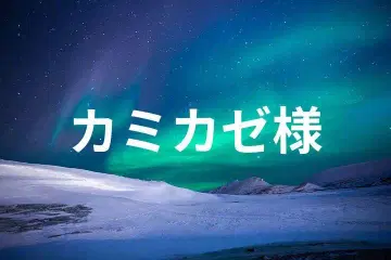 77 차이하네 자수 원피스