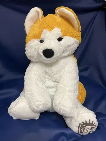 쿠타리 아키타견 BIG 봉제 인형 미사용 새상품 아키타켄 약 50cm