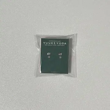 요다 유키 귀걸이