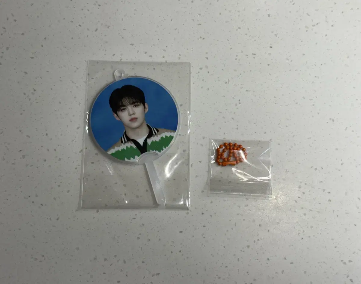 Seventeen s.coups 2025 Caratland Mini wuchiwa ld wts