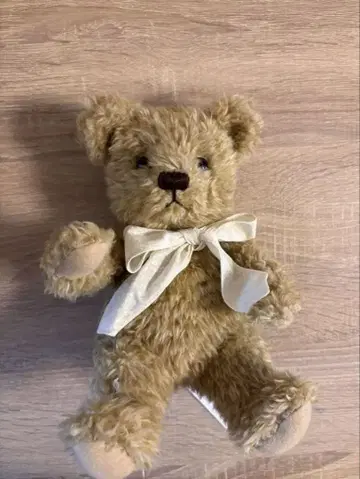 테디베어 택 포함 새상품