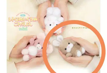 새상품 요시토쿠 레트로 봉제 인형 컬렉션 mini 미니 캔디 토끼