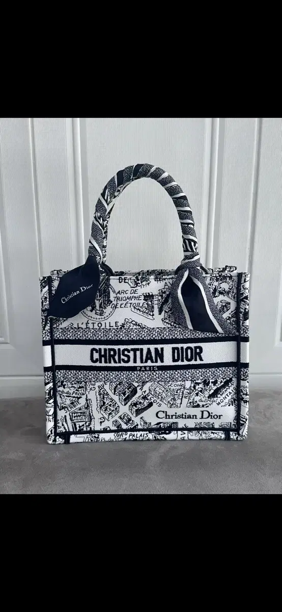 Dior Book Tote Flandre Paris