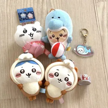 치이카와 대집합