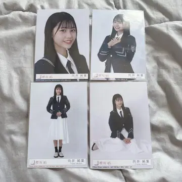 사쿠라자카46 무카이 이토하 브로마이드 사쿠라즈키 봉입