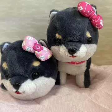 콩 세 형제 하나짱
