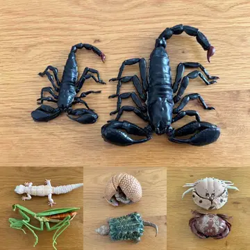 생물대도감 가챠 정리 정크