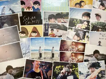 사쿠라시메지 Sakurashimeji 묶음 판매