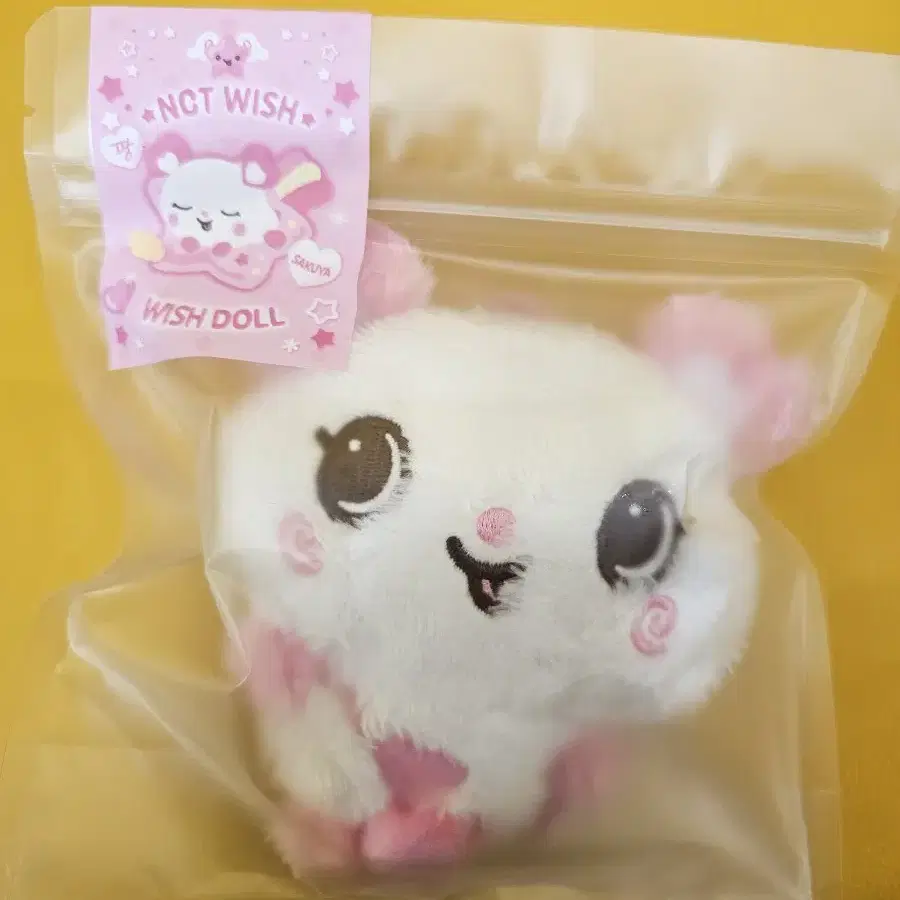 NCT WISH WISH DOLL ぬいぐるみ steady サクヤ パン - メルカリ