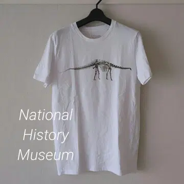 NationalHistoryMuseum 공룡 골격 티셔츠 코튼