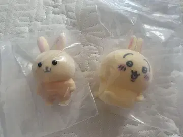 왠지 바니아 토끼