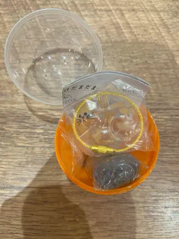 캡슐 토이 C-pla 한정판 시플라 가챠가챠 우리 집 고양이 녹색 고양이
